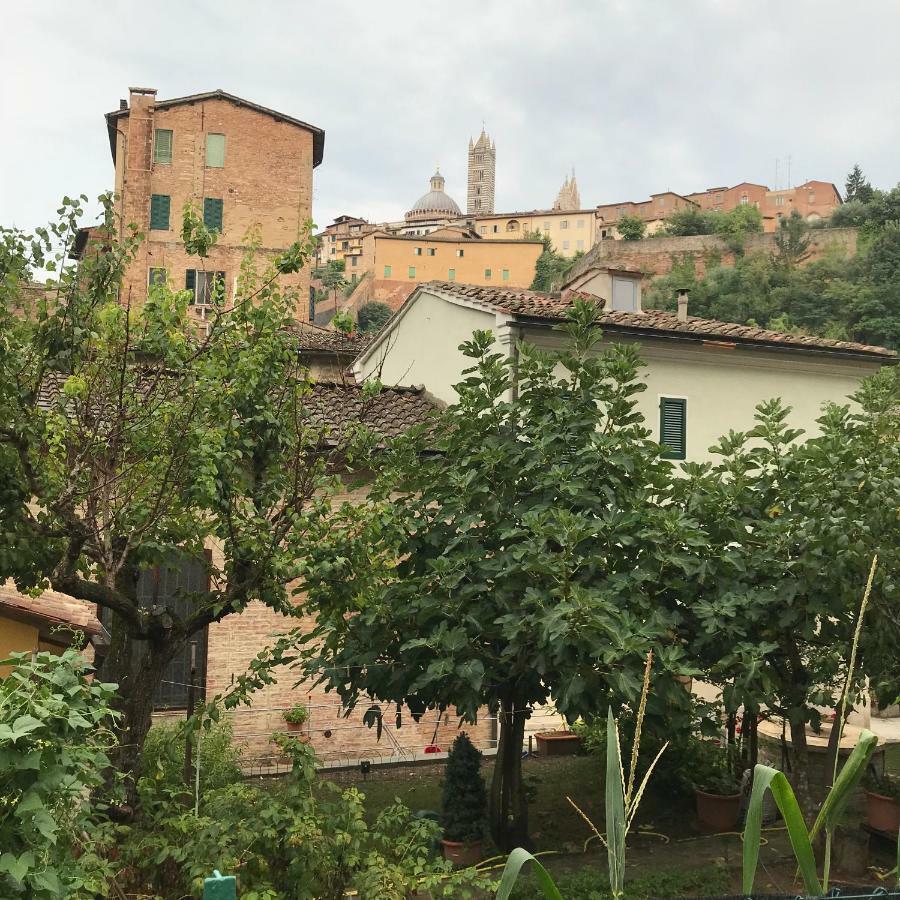 Apartmán To Dream In Siena Exteriér fotografie